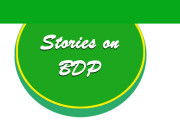 BDP story web copy